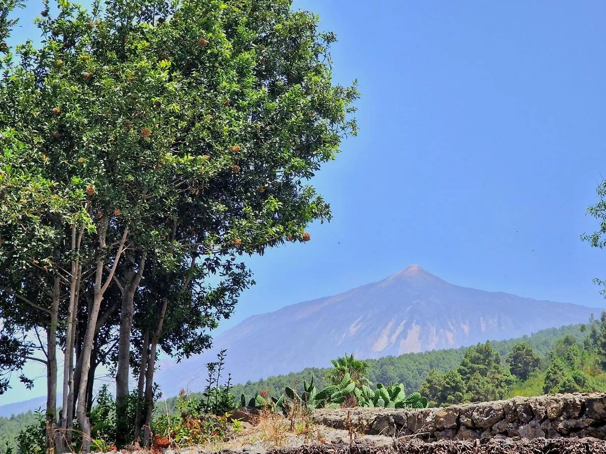 度假居 Casa Rural Giovanni & Rosa B Icod De Los Vinos By Hrtenerife Net 西班牙