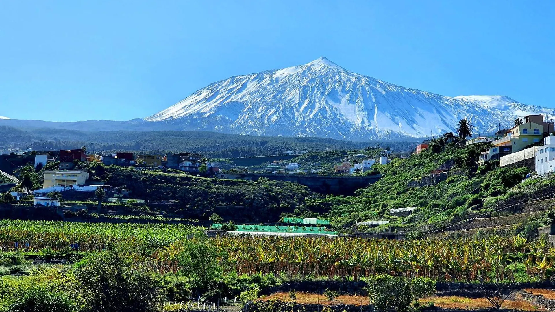 Casa Rural Giovanni & Rosa B Icod De Los Vinos By Hrtenerife Net Prázdninový dům