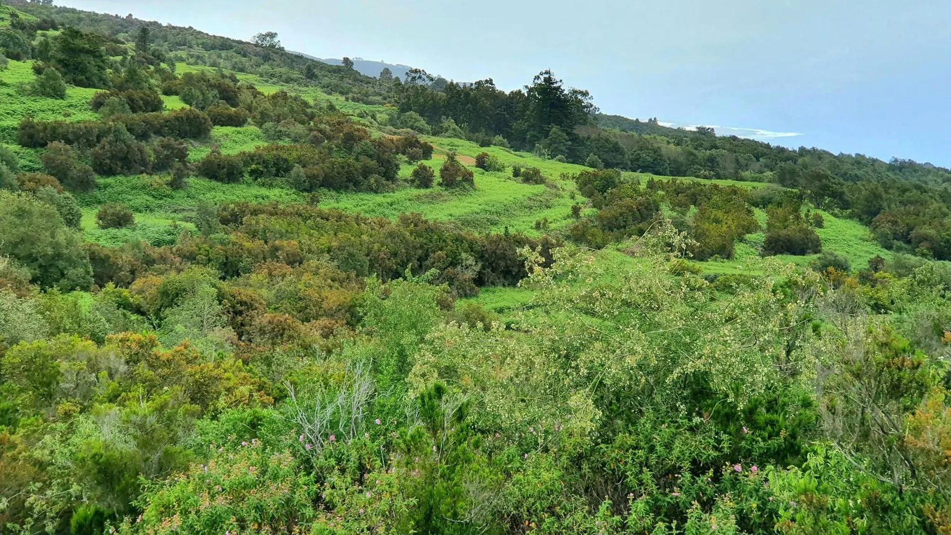 Prázdninový dům Casa Rural Giovanni & Rosa B Icod De Los Vinos By Hrtenerife Net Španělsko