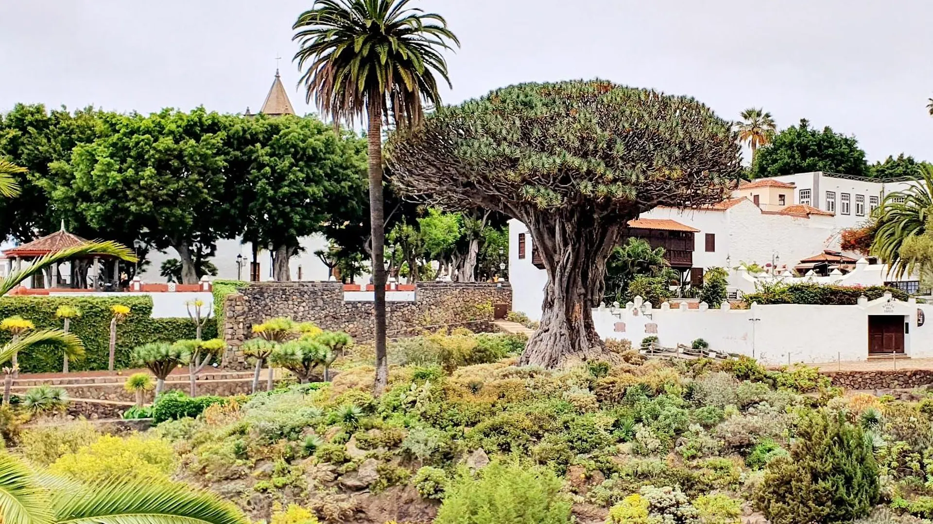 Casa Rural Giovanni & Rosa B Icod De Los Vinos By Hrtenerife Net Holiday home